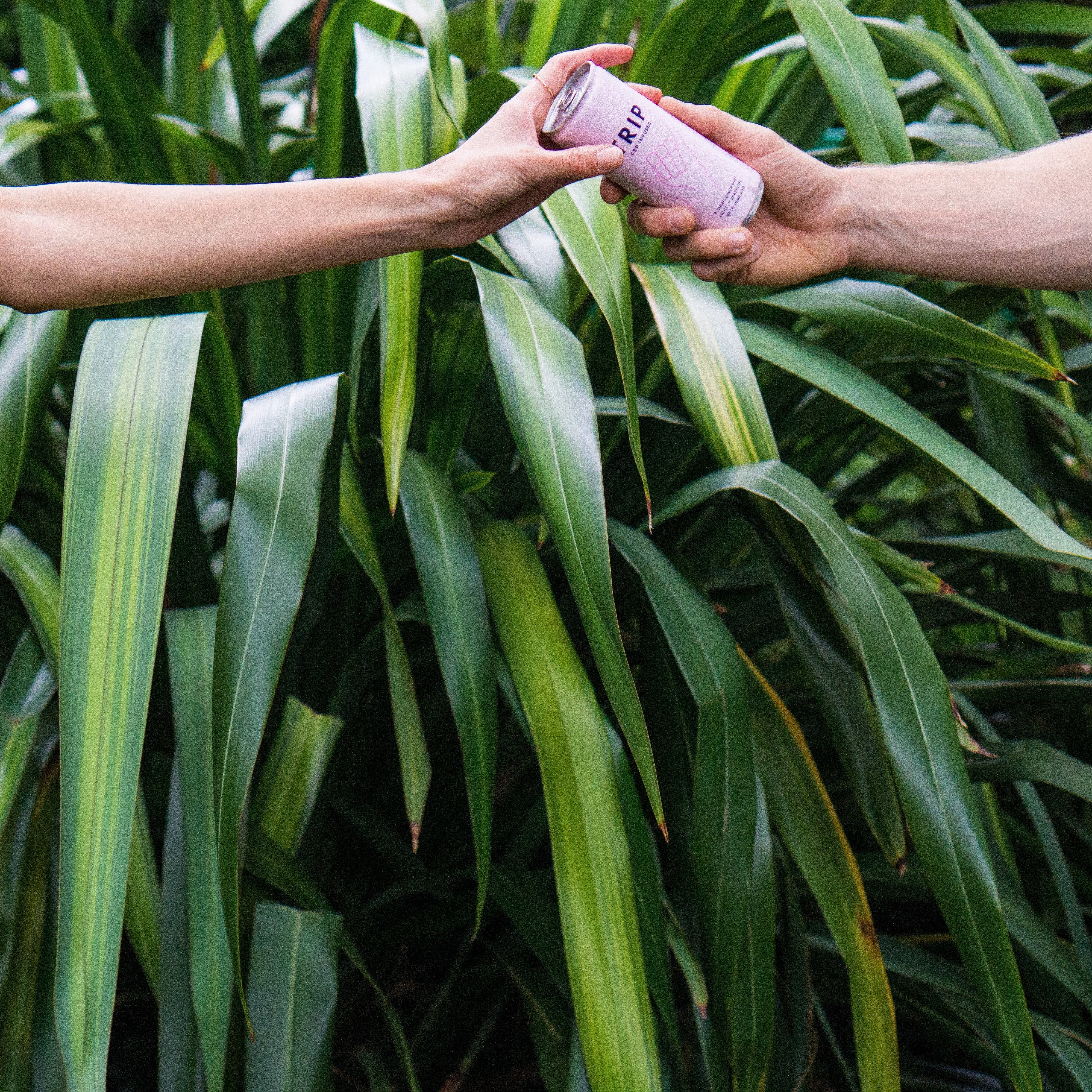 Featured Image for 8 conseils faciles pour vivre sainement